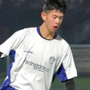 Yang Tan
